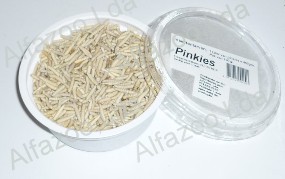 Pinkies 100 Gm